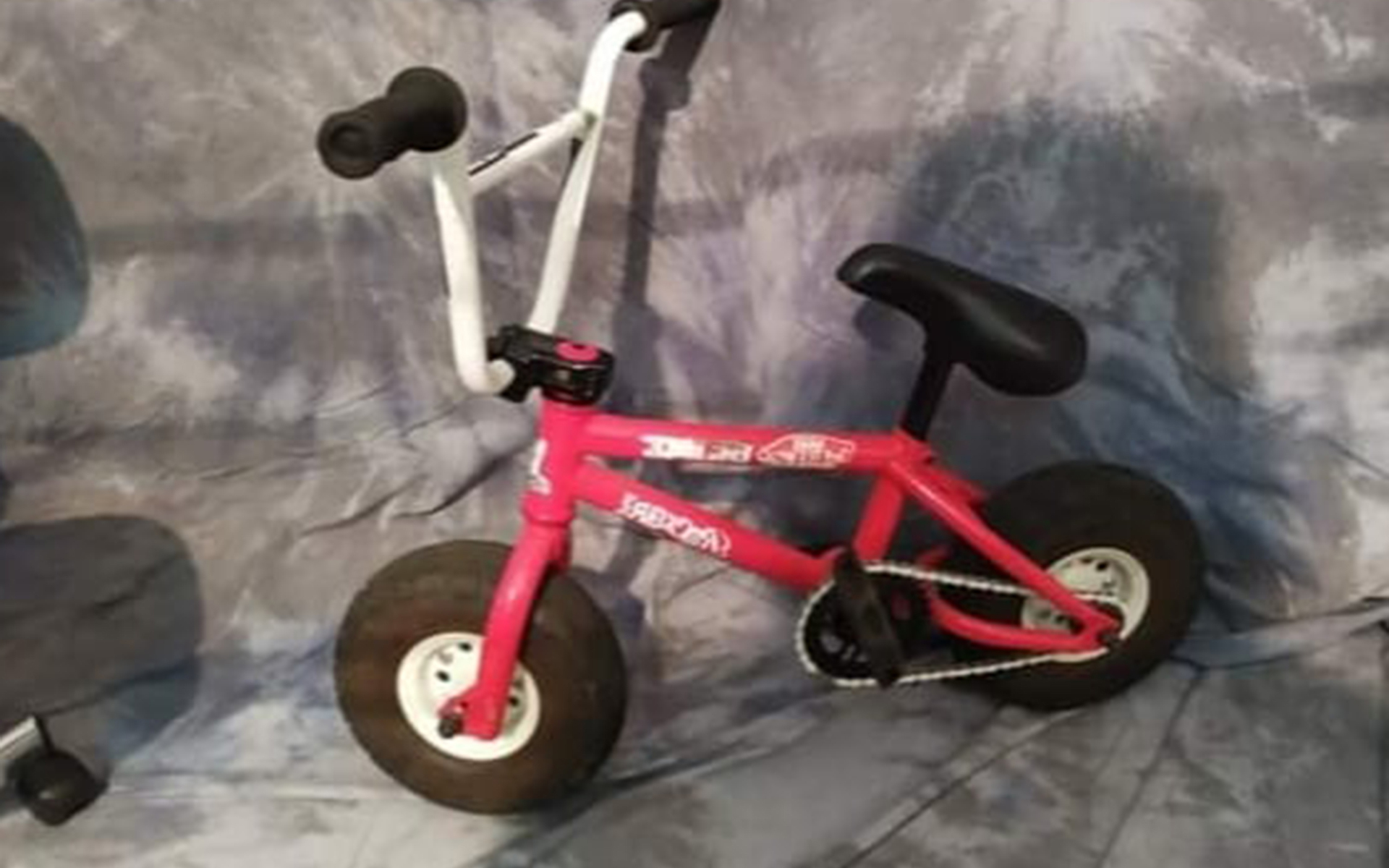 BMX WILD CAT FREE STYLE, Usata, 2021, Catania