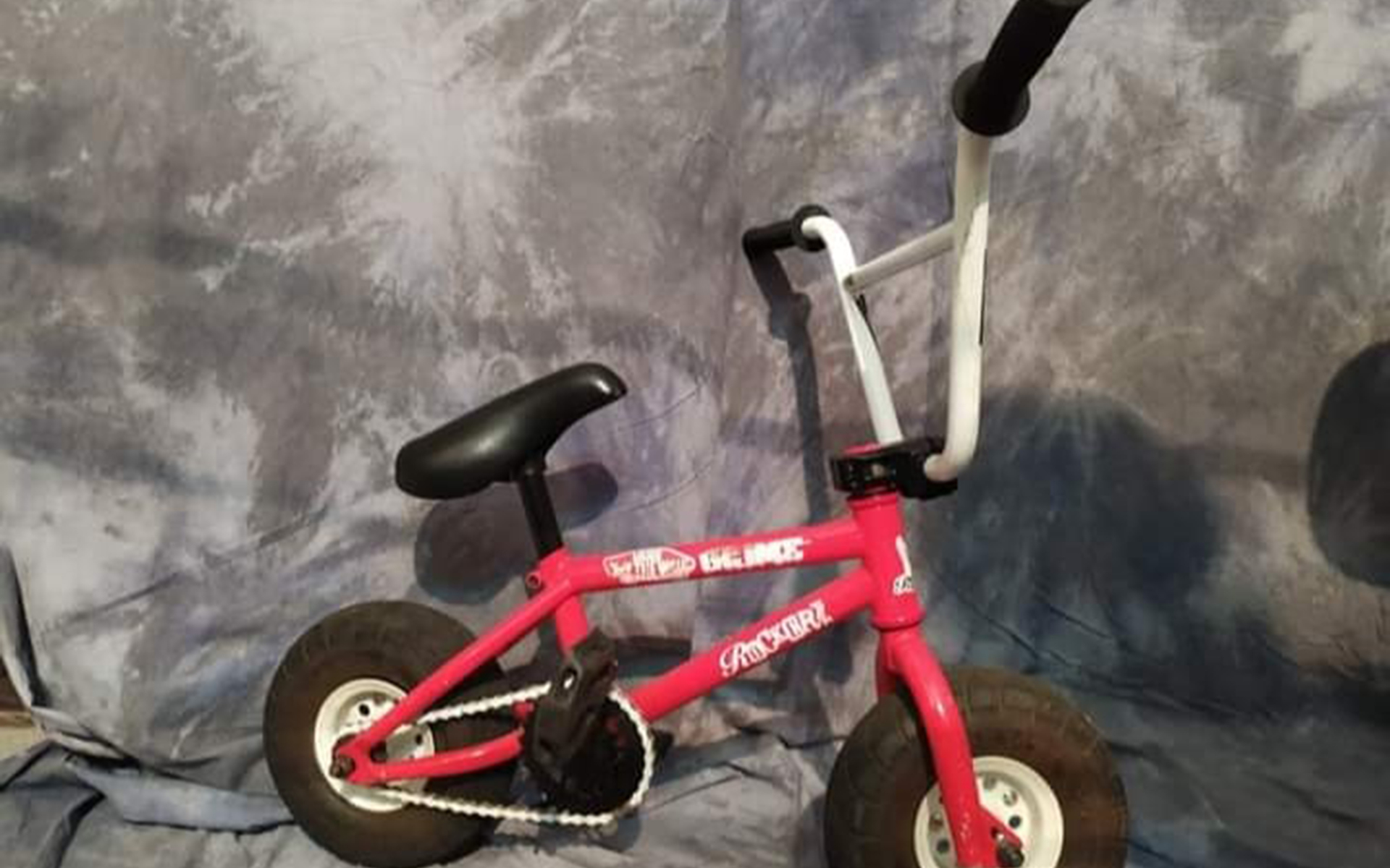 BMX WILD CAT FREE STYLE, Usata, 2021, Catania