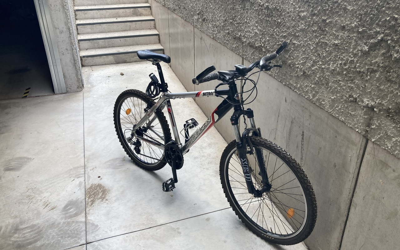 Mountain Bike Lee Cougan Nitro Al, Usata, 2015, Como