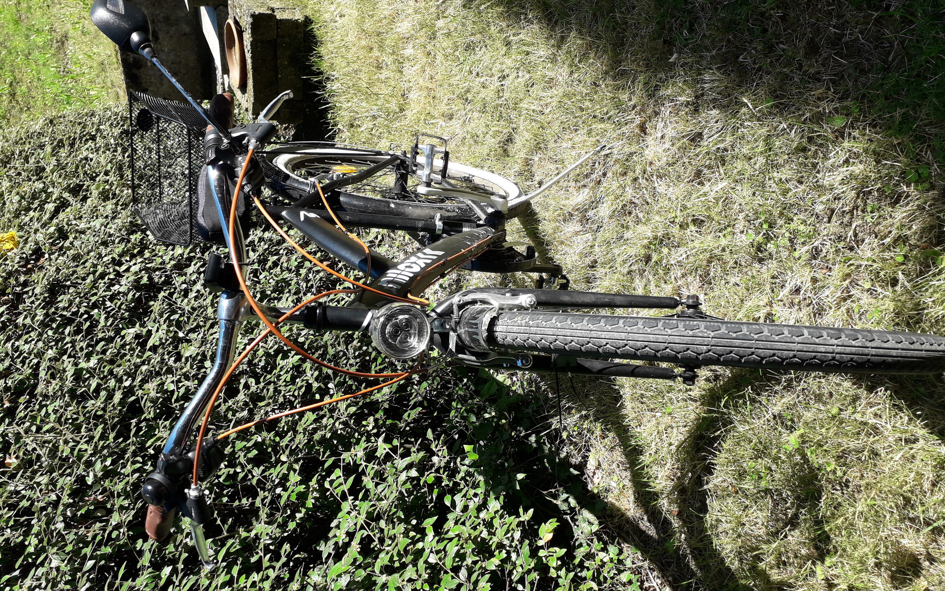 Foot Bike NILOX  ESSELUNGA, Usata, 2021, Monza e della Brianz