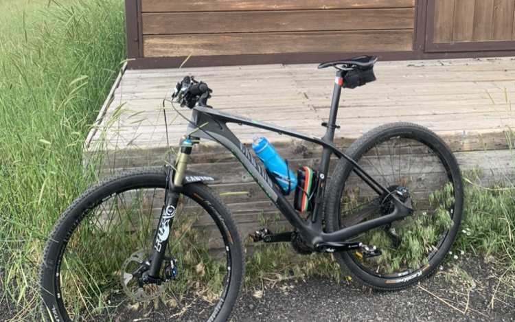 Mountain Bike Canyon Grand  CF SL Carbonio, Usata, 2016, Catania