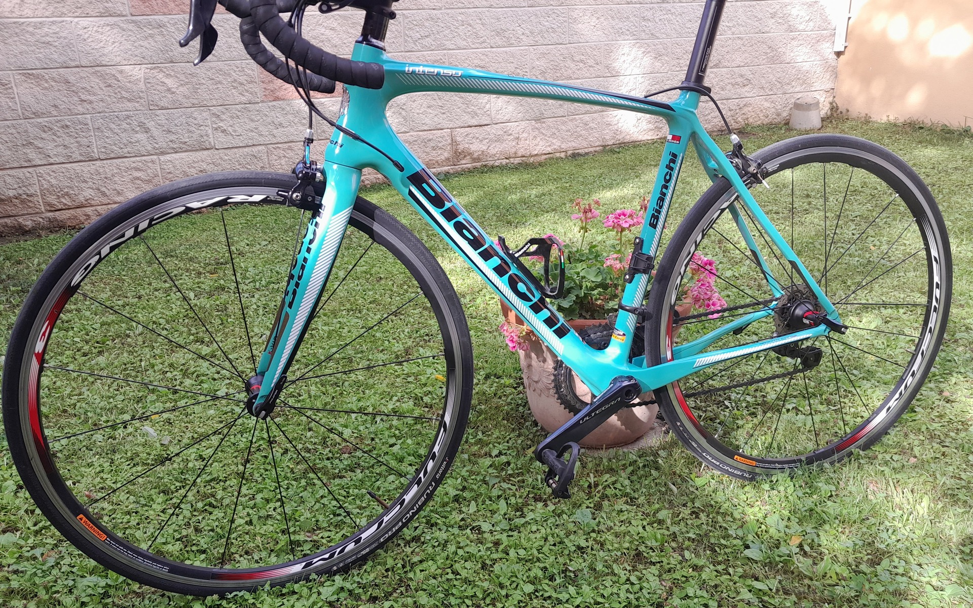 Bici da corsa Bianchi Intenso, Usata, 2019, Ferrara